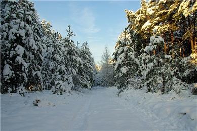 《使命召唤：现代战争3》第5赛季详情公开 WWE联动细节