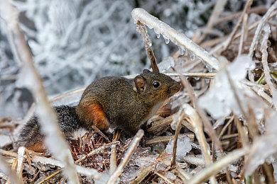 《英雄传说 零之轨迹》实机预告 9月在欧美发售